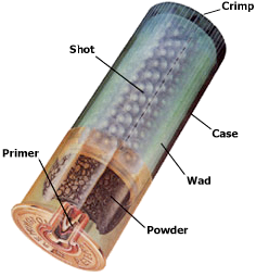 Shot Gun Shell